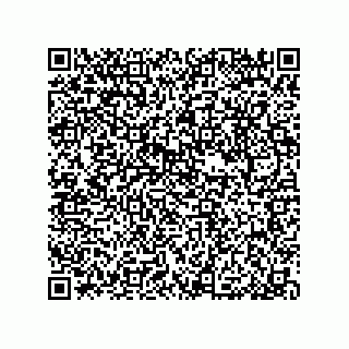 vCard 79033700282