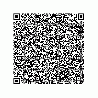 vCard 79033700291