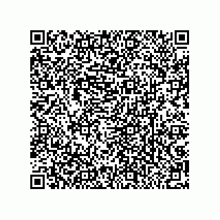vCard 79033700293