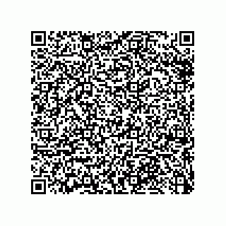 vCard 79033700294
