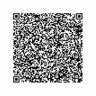 vCard 79033700301