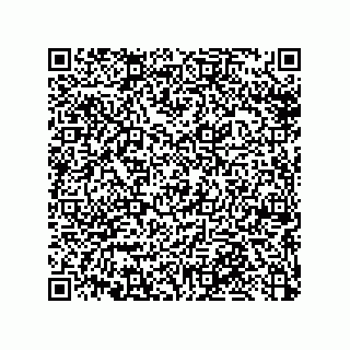vCard 79033700302