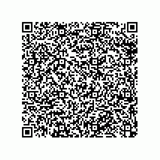 vCard 79033700303