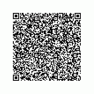vCard 79033700306
