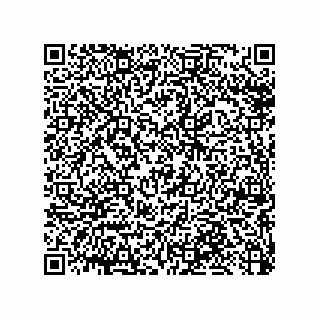 vCard 79033700308