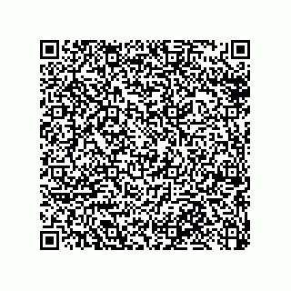 vCard 79033700309