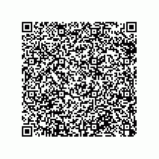 vCard 79033700310