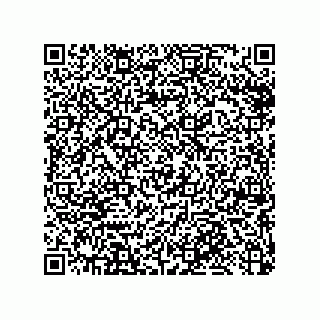 vCard 79033700311