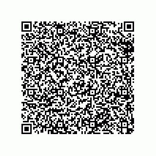vCard 79033700313