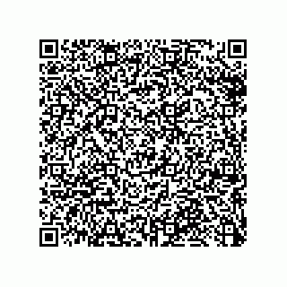 vCard 79033700314