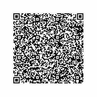 vCard 79033700317