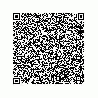 vCard 79033700320