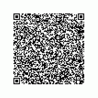 vCard 79033700321