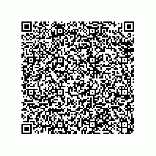 vCard 79033700329