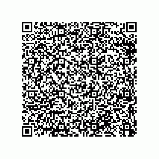 vCard 79033700330