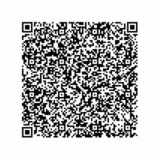 vCard 79033700338