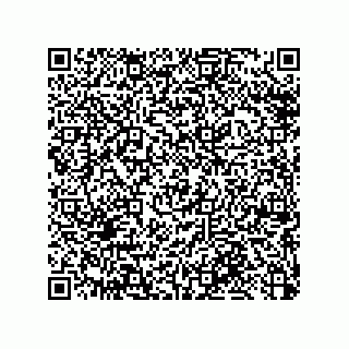 vCard 79033700340