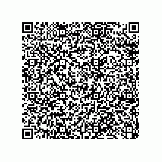 vCard 79033700369
