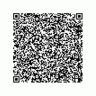vCard 79033700378