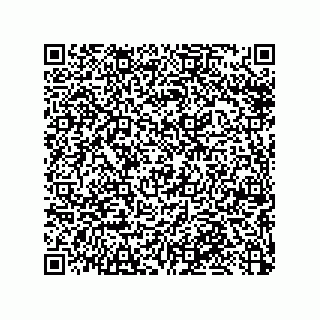 vCard 79033700382