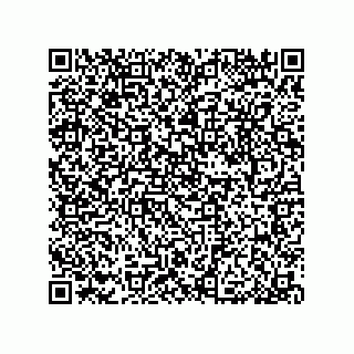 vCard 79033700383