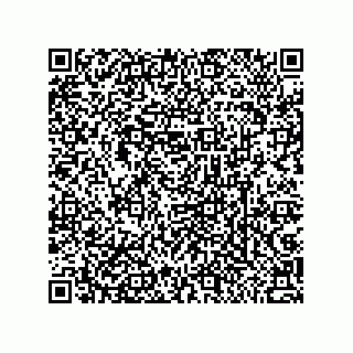 vCard 79033700384
