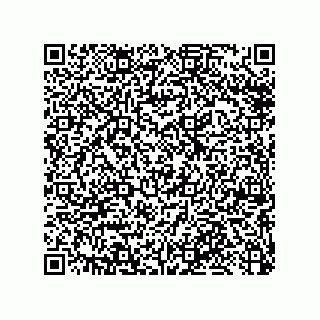 vCard 79033700385