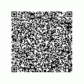 vCard 79033700389