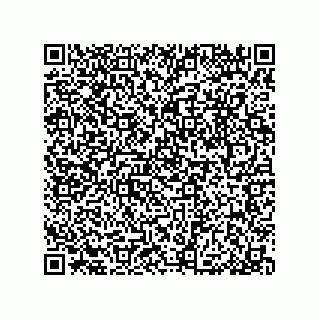 vCard 79033700390