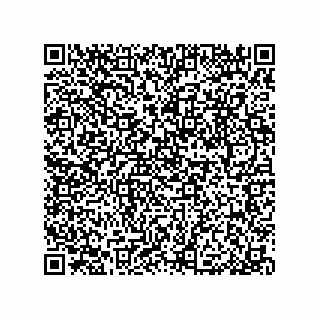 vCard 79033700393