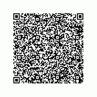 vCard 79033700394