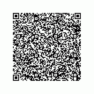 vCard 79033700396