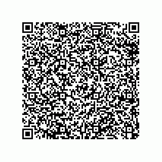 vCard 79033700397