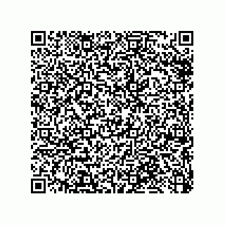 vCard 79033700398