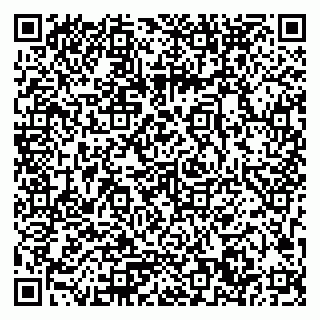 vCard 79033780000