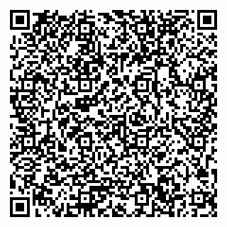 vCard 79033780001