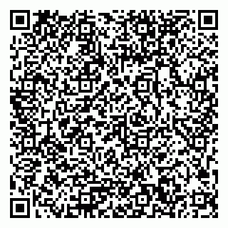 vCard 79033780002