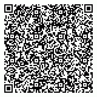vCard 79033780065