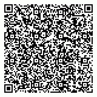 vCard 79033780085