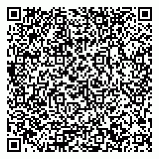 vCard 79033780100
