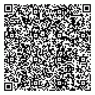 vCard 79033780101