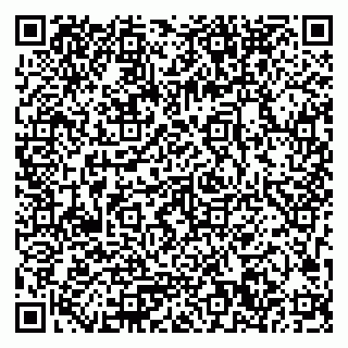 vCard 79033780102