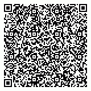 vCard 79033780104
