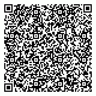 vCard 79033780109