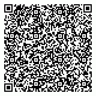 vCard 79033780132