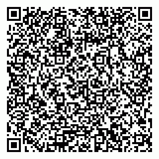 vCard 79033780133