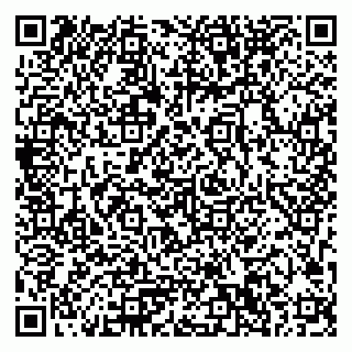 vCard 79033780137