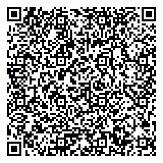 vCard 79033780138