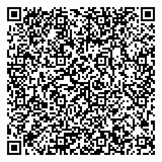 vCard 79033780141