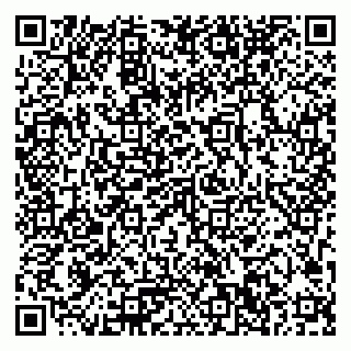 vCard 79033780145